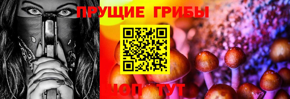 Псилоцибиновые грибы мицелий  Галлюциногенные грибы Psilocybe  Вход с VPN  Самара 
