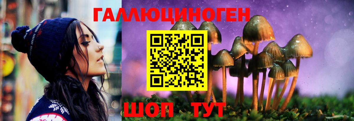 Псилоцибиновые грибы MAGIC MUSHROOMS Самара